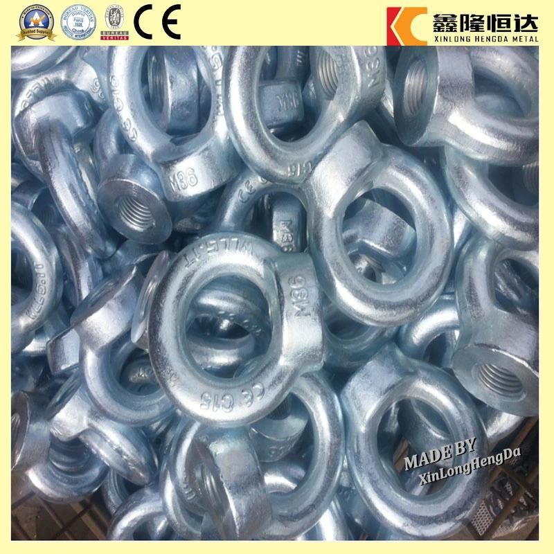 Chinese Supplier Marine Eye Nut M12 M6