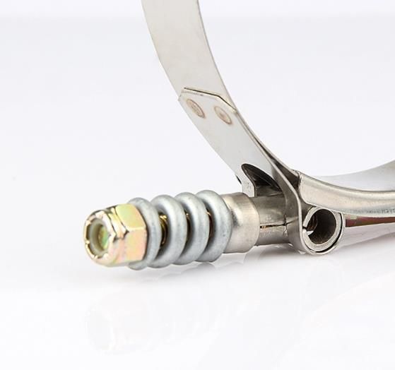 Made in China T-Bolt Spring Loaded Clamps