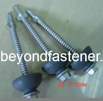 Screw Self Drilling Screw Wing Tek Screw Dome Washer