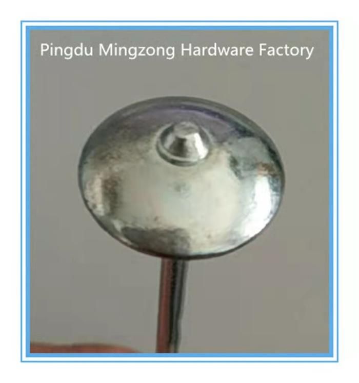 ø 3.0*60.2mm Galvanized Roofing Nails with Smooth Shank and Umbrella Head