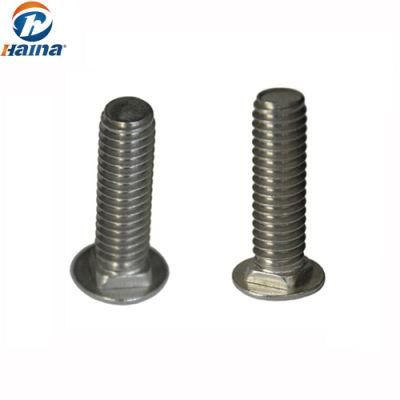Stainless Steel 316 High Sthrenth Flat Head Square Neck Screw
