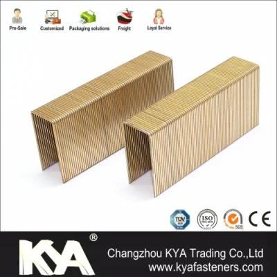 Galvanized Snw Series Wire Staples for Construction and Packaging