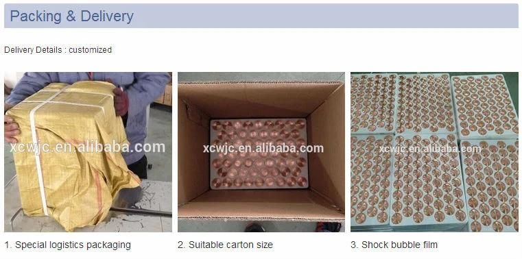 Stainless Steel Decetable Warning Stud (XC-MDD1336)