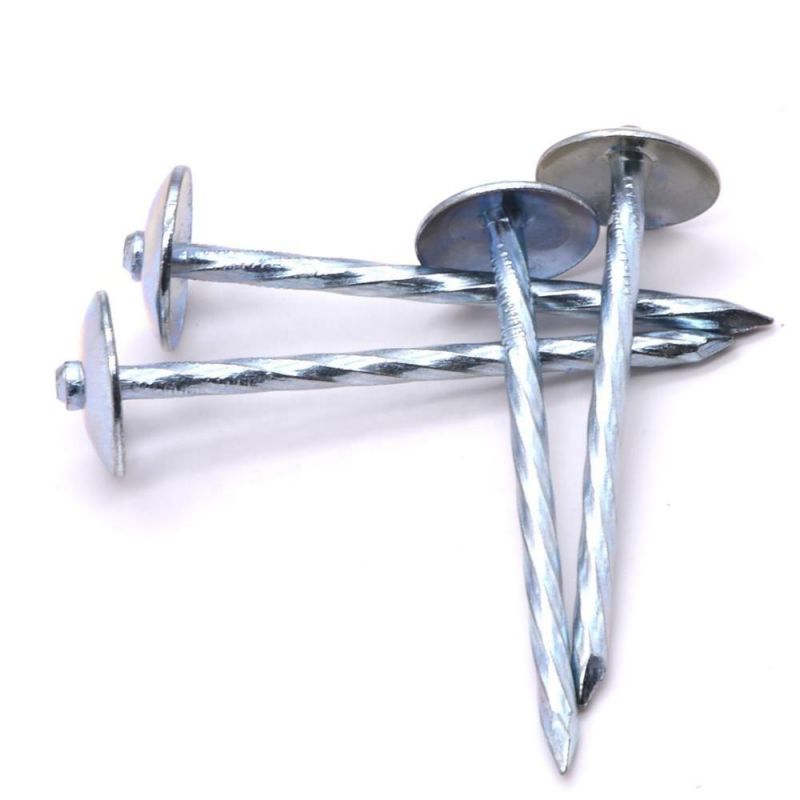Nigeria Angola Zambia Namibia Market/Roofing Umbrella Nails Twisted Roof Nail Colorful Roofing Nails