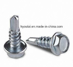 Self Drilling Screw Hex Washer Head with Zinc Plated