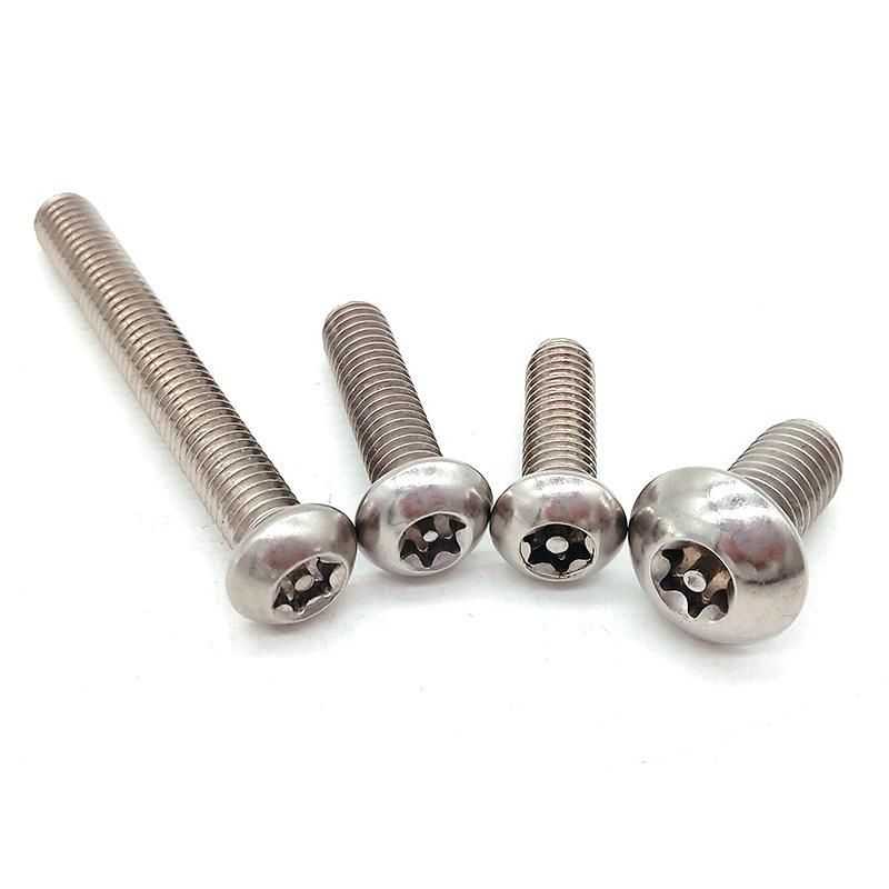 Stainless Steel Machine Screw High Security /Anti-Theft Screw