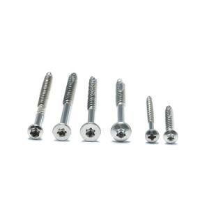 SS304 M4 Flat Head Screw Torx Wood Screws/Stainless Steel Screw