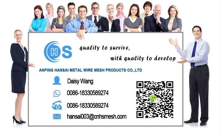 Wholesale Common Artificial Grass Galvanized Fence Staple U Shaped Curved Nails