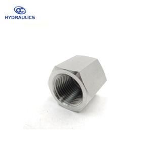 Female Pipe Fittings Stainless Steel Cap Tube Adapters