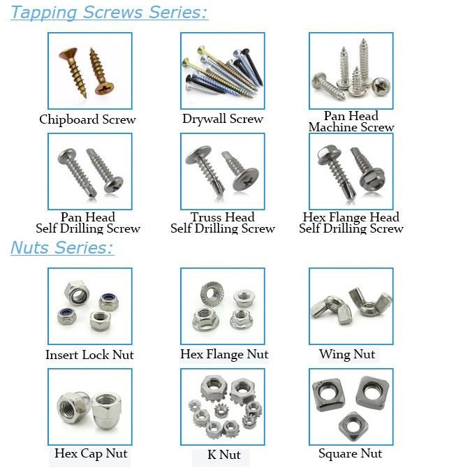 Stainless Steel Fastener Wing Nuts Special Head Theftproof Nut