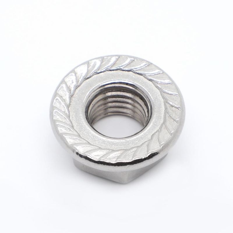 DIN6923 Different Types Large Hex Flange Nut with Serrated SS304/SS316 Stainless Steel