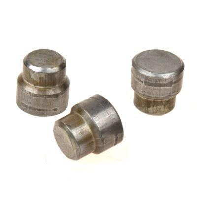 Custom Solid Step Rivet Truss Head with Groove