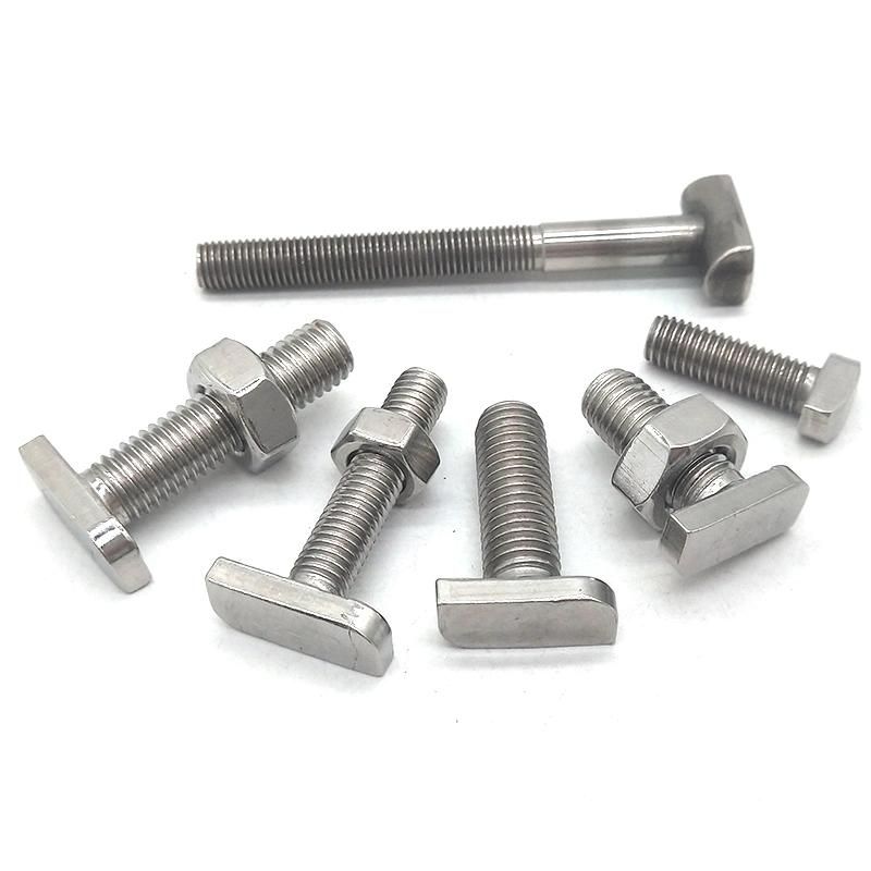 Stainless Steel 304 316 T Head Bolts