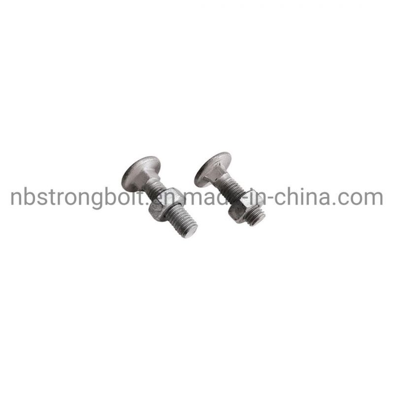 Carriage Bolt / Hex Nut with HDG