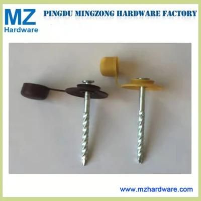 Hot Selling Umbrella Head Plain Shank Roofing Nail (ADS-RN-1)