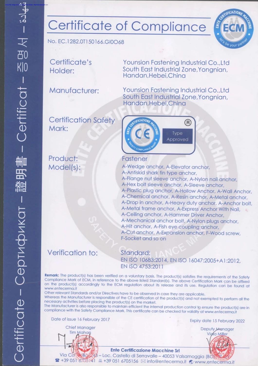 CE Eta Approval M6 M8 M10 M12 1/4 5/16 3/8 1/2 Strong Drop in Anchor with Zp Dac HDG