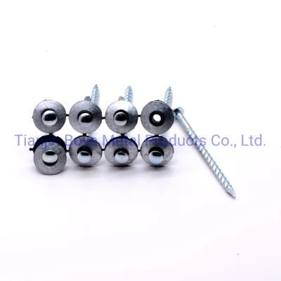 China Manufacturing Galvanized Assembled Roofing Nail with Competitive Price