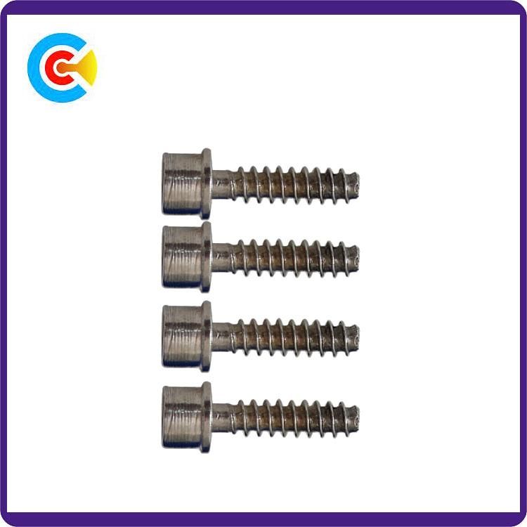 DIN/ANSI/BS/JIS Carbon-Steel/Stainless-Steel 4.8/8.8/10.9 Galvanized Hexagon Socket with Internal Tapping Screw