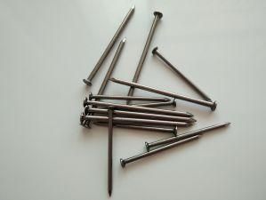 Building Nail/ Iron Nail /Common Iron Nail/Building Materials