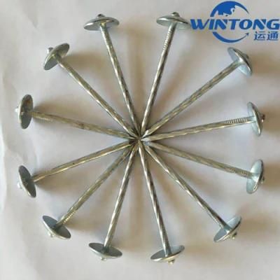 Factory Supply Galvanized Corrugated Sheet Nails Hot Sale Twisted Shank Umbrella Head Roofing Nails