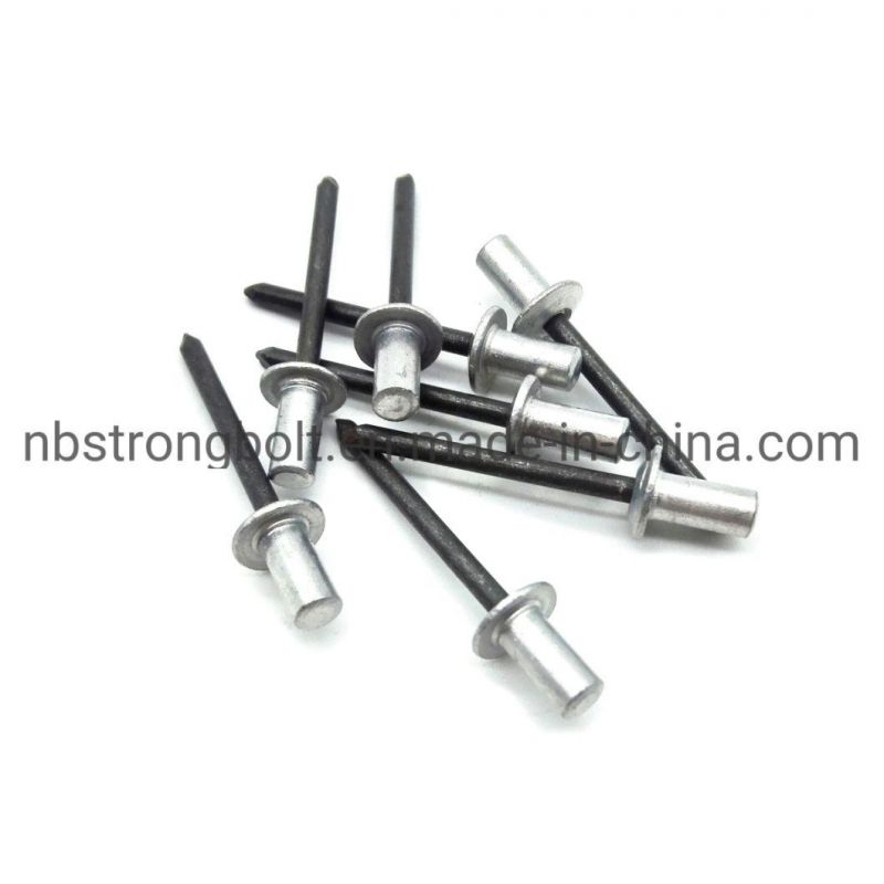 Enclosed Type Aluminum/ Steel Counter Sunk Head Blind Rivet