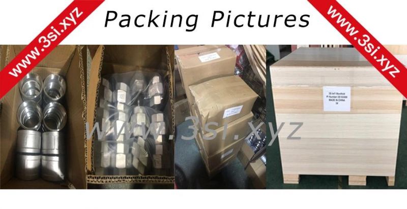 ASTM A105 Forged Steel Weldolet (YZF-E541)
