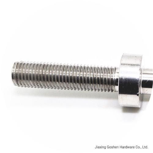 Stainless Steel 2205 Customized Double End Studs Bolts