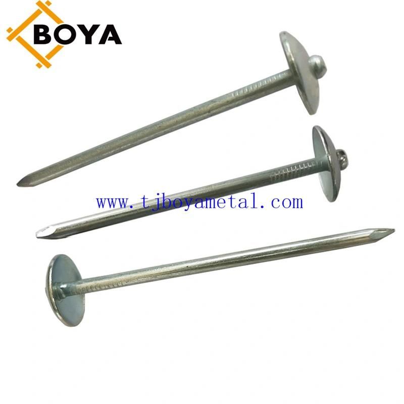 Roofing Nails Factory Sunshine Un Precio Favorable Clavos De Calamina Roofing Nails with Rubber to Peru