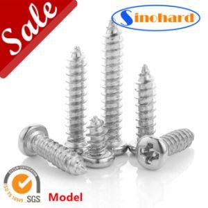 Zinc Plate Phillips Pan Countersunk Head Self Tapping Screw