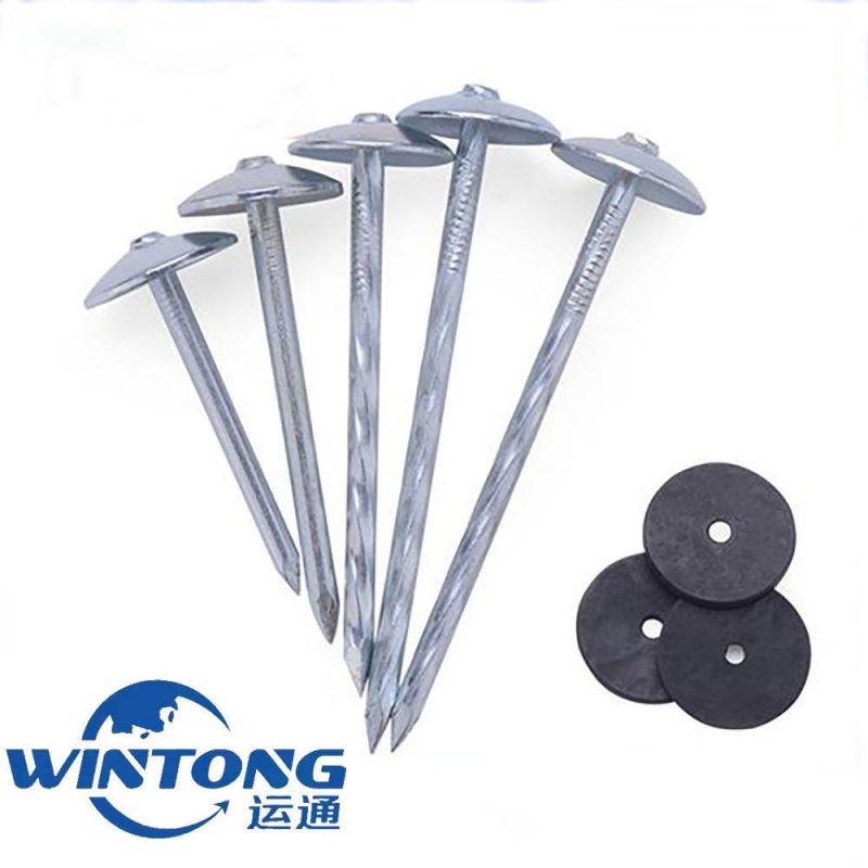Factory Umbrella Head Roofing Nails/Roofing Nails Galvanized Twisted Shank
