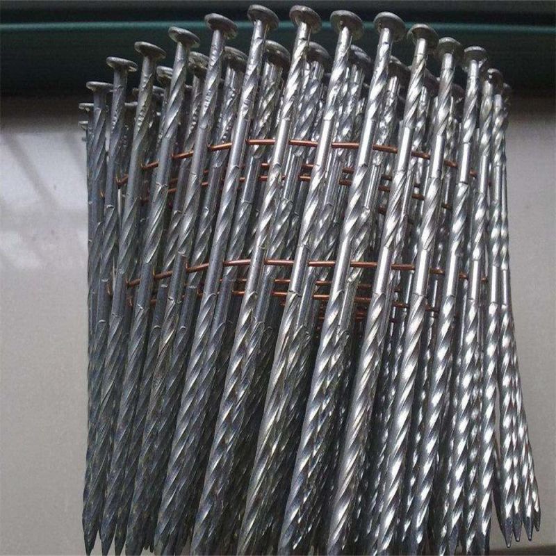 Threaded Nail Smooth Rod Smooth Nail Ring Spiral Tray Nail