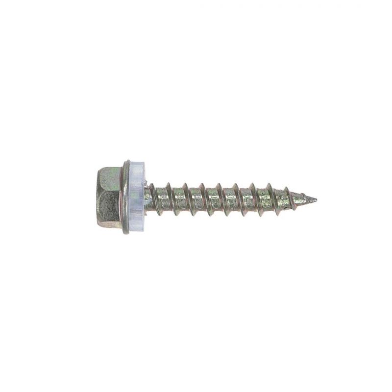 Self Drilling Screw /Roofing Screw/ Tek Screw Drill Point Screw Self-Tapping Screw