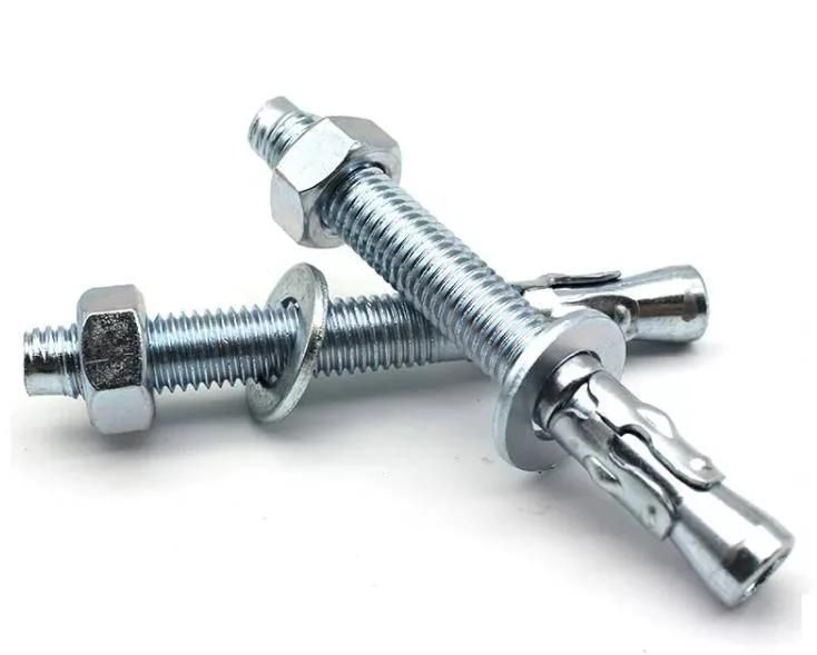 Stainless Steel Carbon Steel Drop in Expansion Bolt with Nut Wedge Anchor Stud Head Screw Throught Anchor