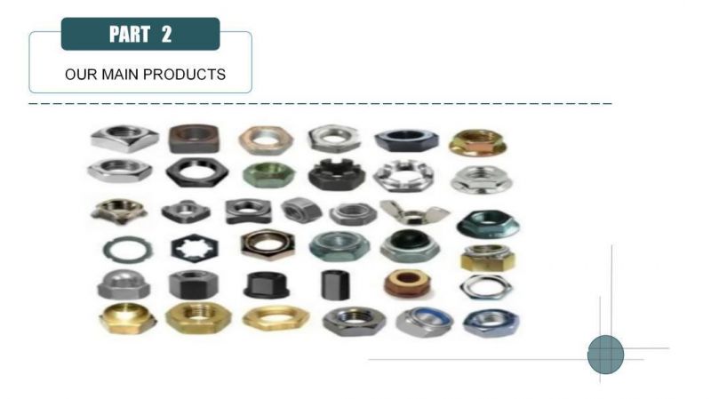 Hot Sell A2 Stainless Steel Flange Hex Nut Fastenal Catalog Bolts and Nuts