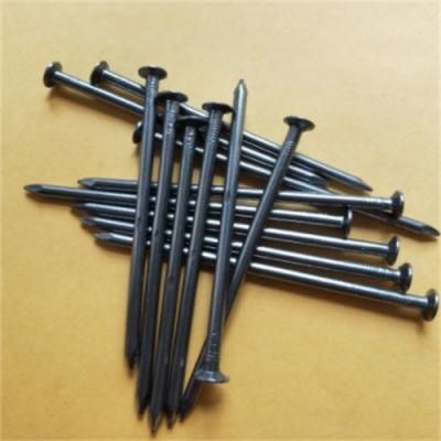 0.8 Inch Stainless Steel Round Nail /8 Min Stainless Steel Nail