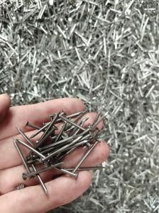 Polished Common Iron Wire Nails for Building Materials