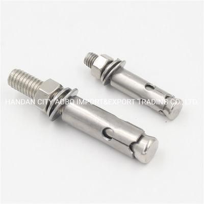 SS304 Set Anchor 3/8*70 1/2*100 with Washer and Nut Chinese Factory Supplier