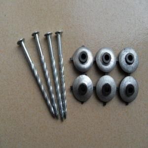 Spiral Shank Roofing Nail Umbrella Roofing Nails Galvanized Roofing Nails with Washer