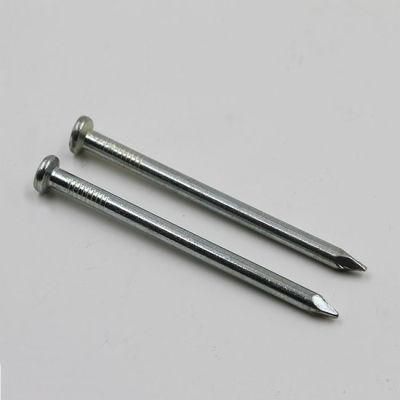 Factory OEM Common Galvanized Iron Polished Nail