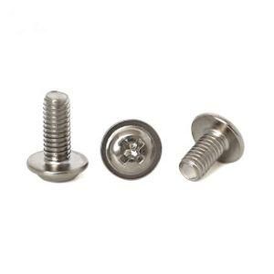 Galvanized Phillips Head Screws/Pan Head Screws/Self Drilling Screw