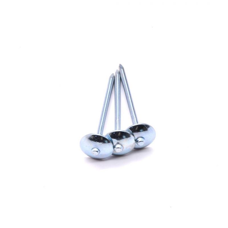 Angola Zambia Namibia Market/Chinese Suppliers Galvanized Umbrella Head Roof Nails 2inch Roofing Nails