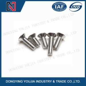 ISO7047 Stainless Steel Cross Recessed Raised Countersunk Head Screw