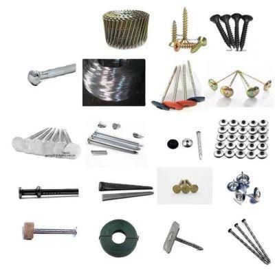 Professional Supplier of Nails Excellent Supplier More Than 30 Years