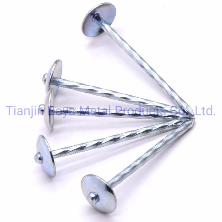Factory Price Galvanized Umbrella Head Roofing Nail/Umbrella Nail/Clout Nail/Big Head Nail/Iron Nail/Building Nail