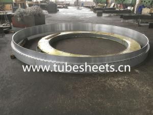 Large Size Customized Stainless Steel Flange