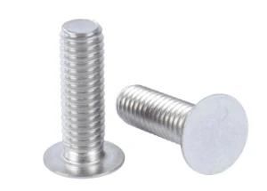 Electric Welding Welding Screw, Stainless Steel Stud Welding Screw