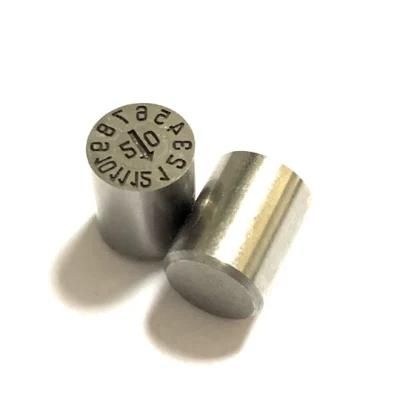 Hot Sales Mould Injection for Die Casting Die Date Code Heat Stamp