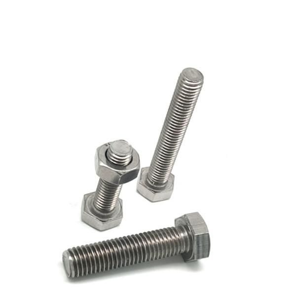 DIN933 Ss304 Ss316 Hex Head Bolt with Nut and Washer