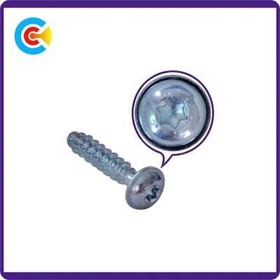 Carbon Steel Zinc Plating Torx Pan Head Self Drilling Screw