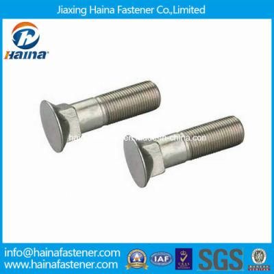 Stainless Steel Countersunk Head Square Neck Bolt DIN608
